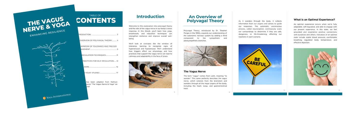 The Vagus Nerve & Yoga: Enhancing Resilience — ebook